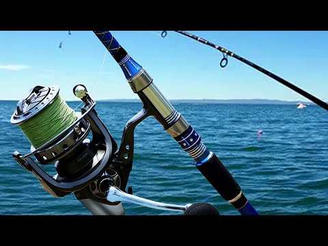 Different Types of Fishing Reels : Which is Best For You?