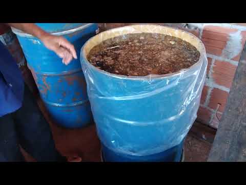 MEL APURADO DIRETAMENTE DA ABELHA O ORIGINAL VEJA SÓ