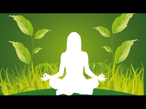 download lagu mp3 mp4 Biophilia Effekt, download lagu Biophilia Effekt gratis, unduh video klip Biophilia Effekt