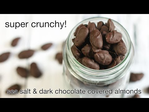 Sea Salt & Dark Chocolate Covered Almonds {Crunchy!}