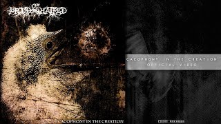Brood Of Hatred - Cacophony In The Creation (OFFICIAL VIDEO)