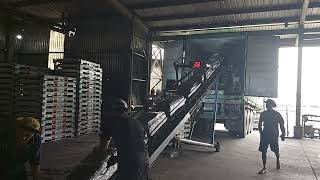 MV CT384- EMCU6293449