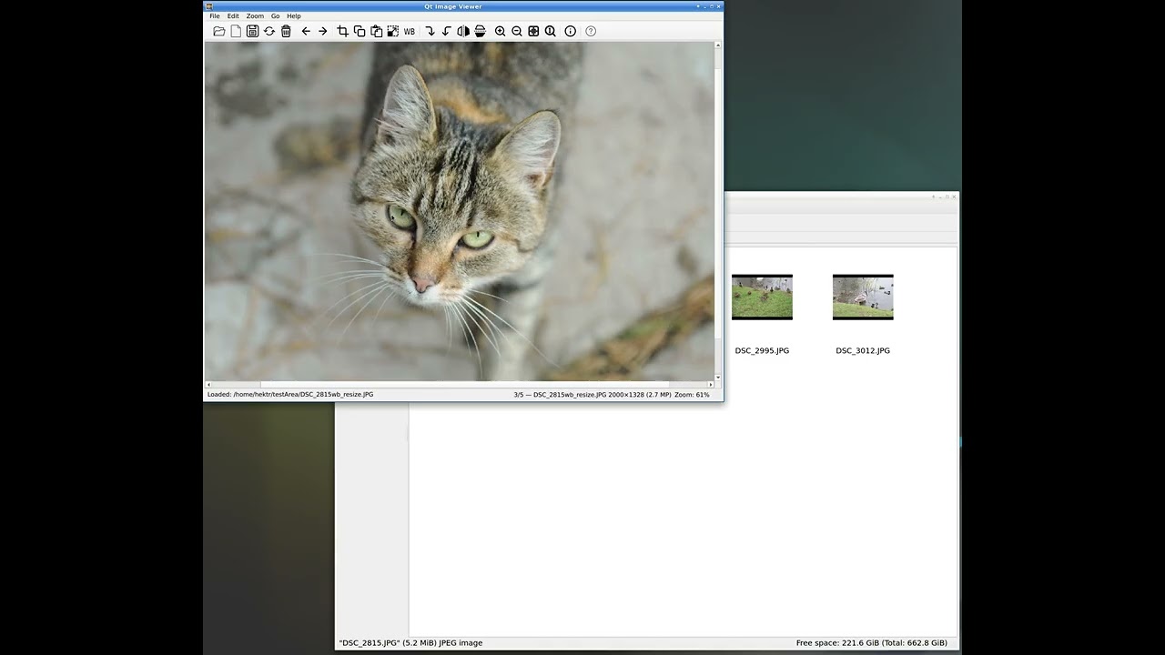 Просмотрщик изображений на линукс (qiv)