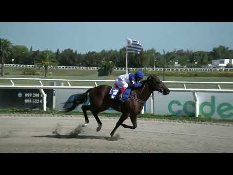 230310 c01 - MARADONIANO - HIPODROMO LAS PIEDRAS