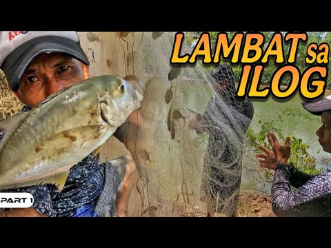 P1 - Nakarami ng Talakitok sa Panlalambat - EP1608