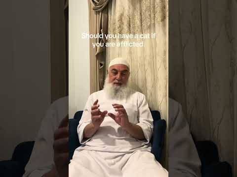 Should you get a cat if you are afflicted