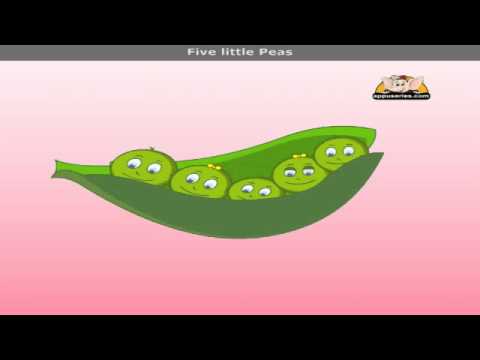 Five Little Peas with Lyrics - Nursery Rhyme
