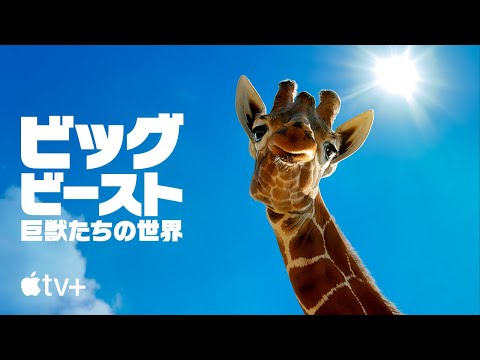 公式予告編（字幕）