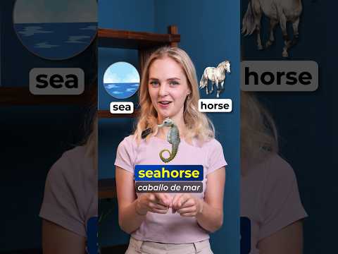 ¡Aprende vocabulario en inglés desde palabras simples! #english #vocabulary #ingles