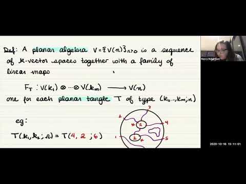 Marcy Robertson: Expansions, completions and automorphisms of welded tangled foams