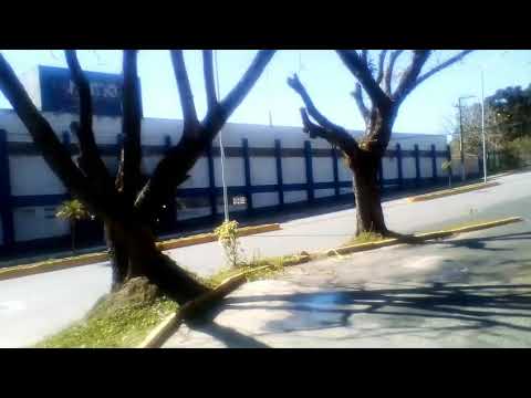 Veja como está a Antiga rumo em Mafra SC.
