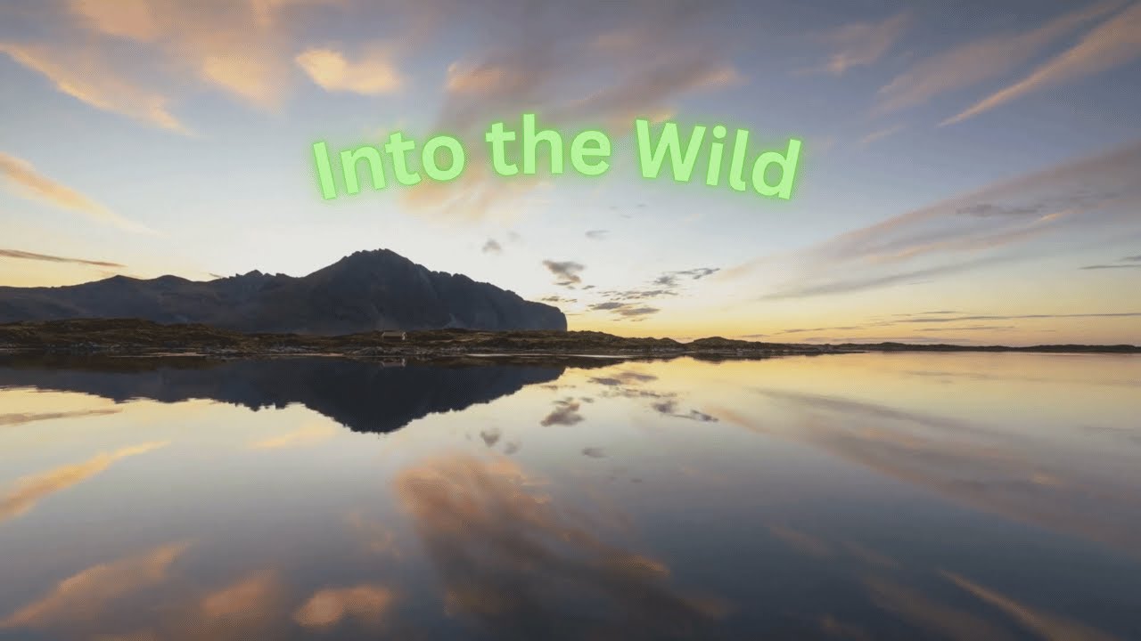 Into the Wild - Hidden Forest Kingdom