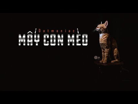 [Video Lyric] MẤY CON MÈO - Datmaniac