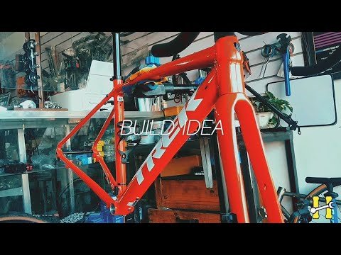 Build Idea - TREK Domane 3