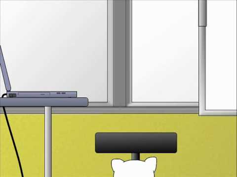 Promotional For Upcoming Fanime (Auditions are Closed)