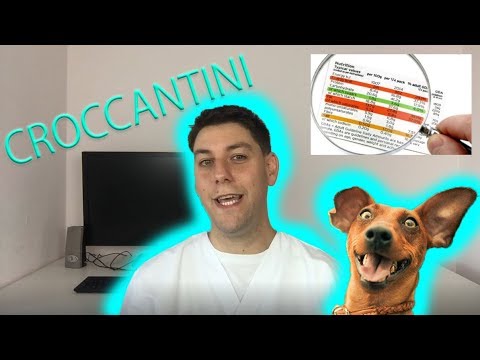 Come leggere le ETICHETTE dei croccantini per cani e gatti!