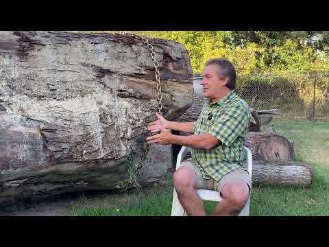 Meet John & Shop Tour — Live-Edge Slab Inventory & Wood Knowledge