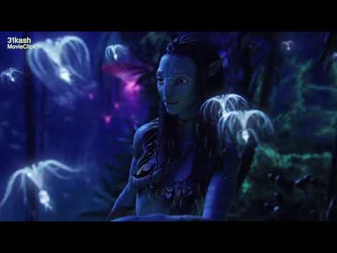 Avatar   The Seeds of the Sacred Tree 2009 Full HD