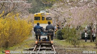 preview picture of video '広島の風景2015春 花見「安野 花祭りの桜2/4」04.05 Scenery of Hiroshima Spring,Cherry Blossom viewing,Yasuno,Akioota'