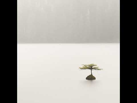 Mystica Tribe - New Horizons