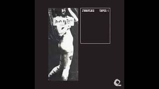 Frans Zwartjes Tapes 1 track 3