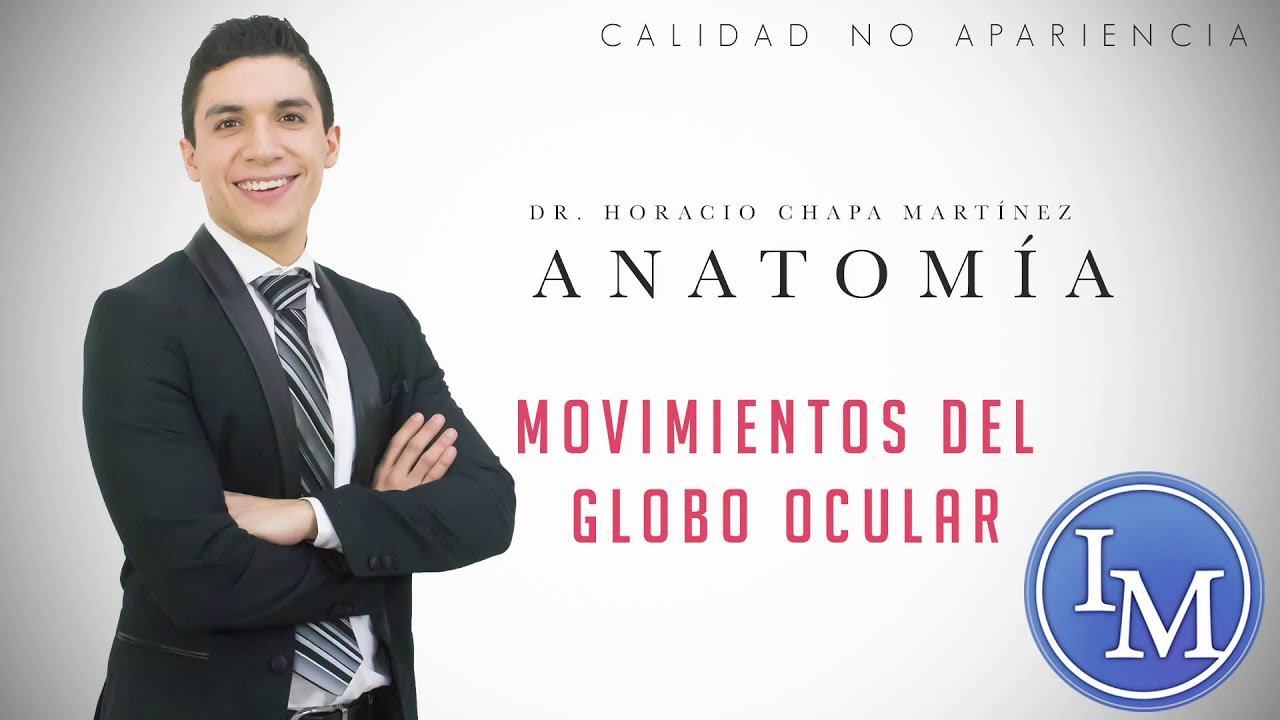 Anatomía | Músculos extrínsecos del ojo | Movimiento del globo ocular