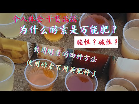 , title : '【自制有机肥】环保酵素是什么肥？ 不同材料做出的酵素一样吗？怎么使用酵素？一次把环保酵素说清楚'