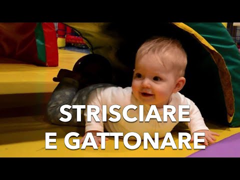 Risposte del proprietario a introduzione di un parassita Quello che avviene da vermi