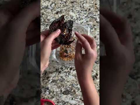 How to work with dried chiles!