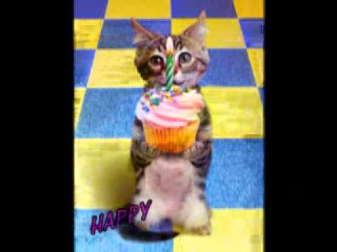 happy birthday moutaz