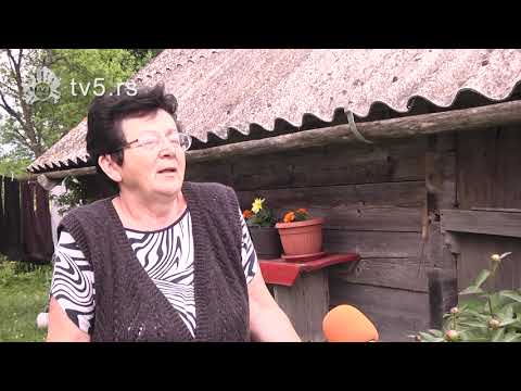 TV 5 - Tragedija kod Prijepolja, grom ubio dve krave.