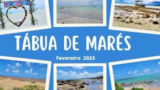 Maragogi,Porto de Galinha,Tamandaré, São  Miguel dos Milagres tábua de marés  Fevereiro 2023.