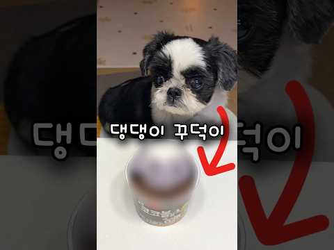 자기얼굴모양 요거트를 보고 이상한 소리를 내더라고요