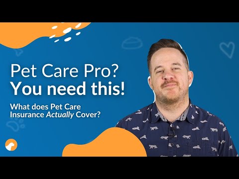 Essential Guide to Pet Care Insurance for Your Business | Comprehensive Coverage Explained