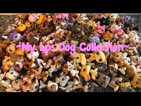 My Lps Dog Collection!