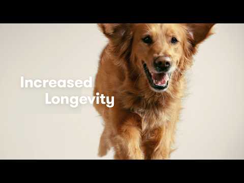 What sets Jinx apart? Better ingredients for longer, better lives.