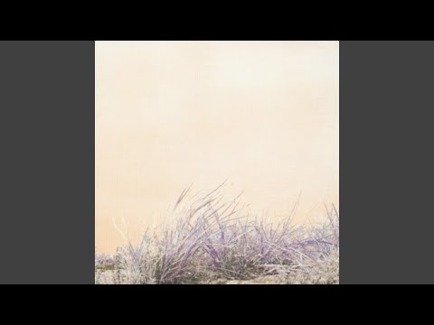 Apathys Last Night のサムネイル