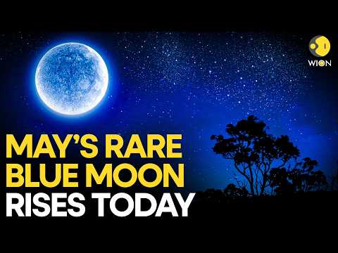 Blue Moon Timing