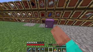 【マイクラ】大枠でワクワク感を #マイクラ #Minecraft