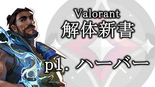 【徹底解説】イモータルハーバー専によるハーバー使い方講座【Valorant】