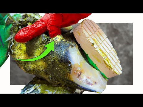 a BIG PROBLEM.... I nearly MISSED!