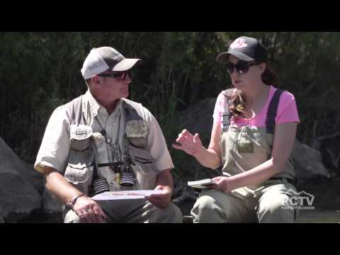 PC Anglers Fly Fishing Tip: Match The Hatch