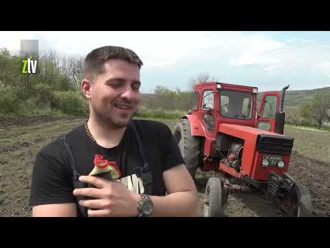 Mnogi su otišli, on je ostao: Miloš iz okoline Zaječara pokazao da selo ima budućnost