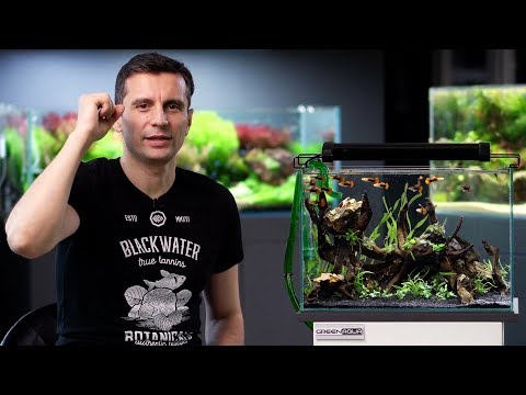 , title : 'HOW TO BUILD A LOW BUDGET PLANTED TANK'