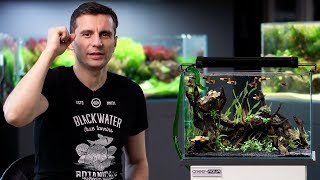 HOW TO BUILD A LOW BUDGET PLANTED TANK