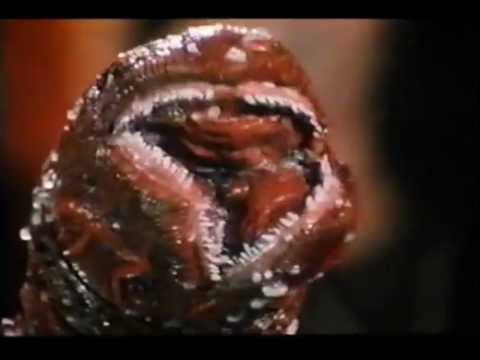 Thumbnail of the video: Beauty's Evil Rose