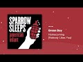 Green Day Homecoming Nobody Likes You Lullaby Cover By Sparrow Sleeps