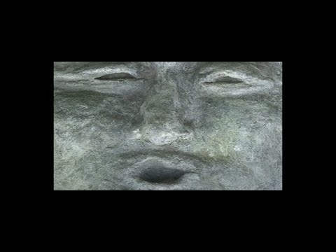 Hazenberg - logisch verkehrt