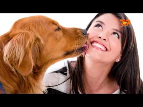 Ne Shtepine Tone, 11 Shkurt 2016, Pjesa 2 - Top Channel Albania - Entertainment Show