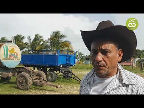 #APOCOOP en la cooperativa Alianza Obrera-Campesina de Amancio #Lastunas